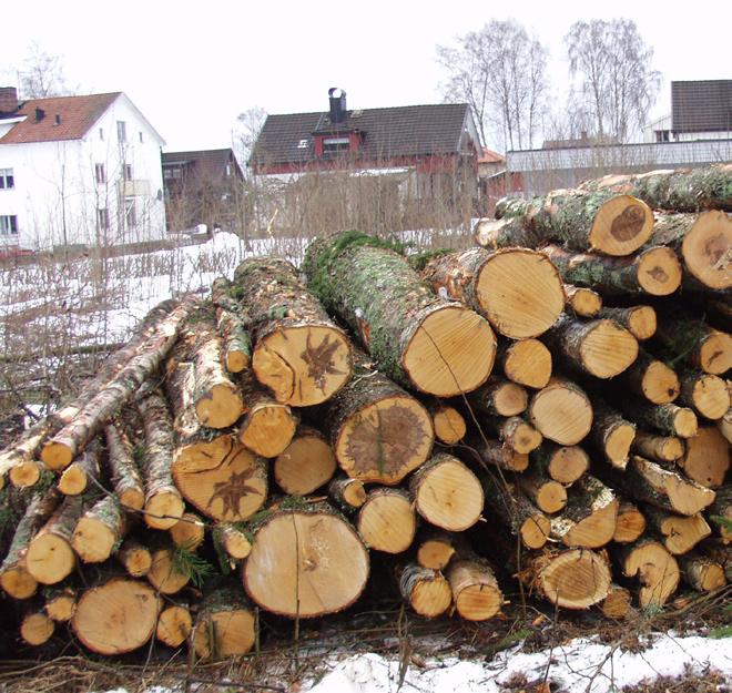 Men även de förnyelsebara energislagen ställer till problem.