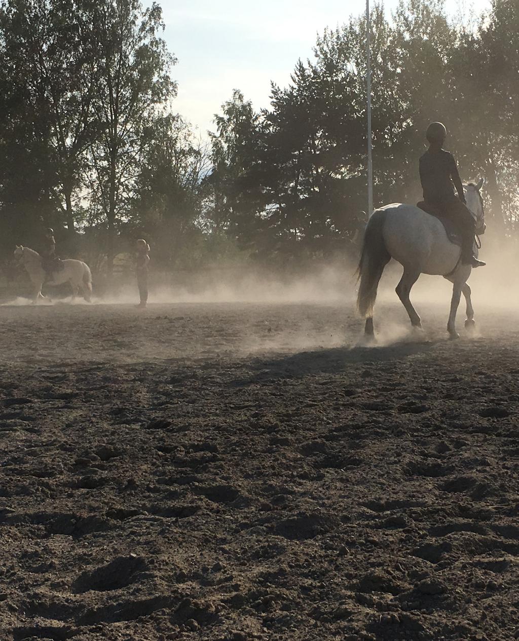 Damm- och kvartsexponering för ridinstruktörer på ridbanor och i ridhus samt kartläggning av inomhusklimatet