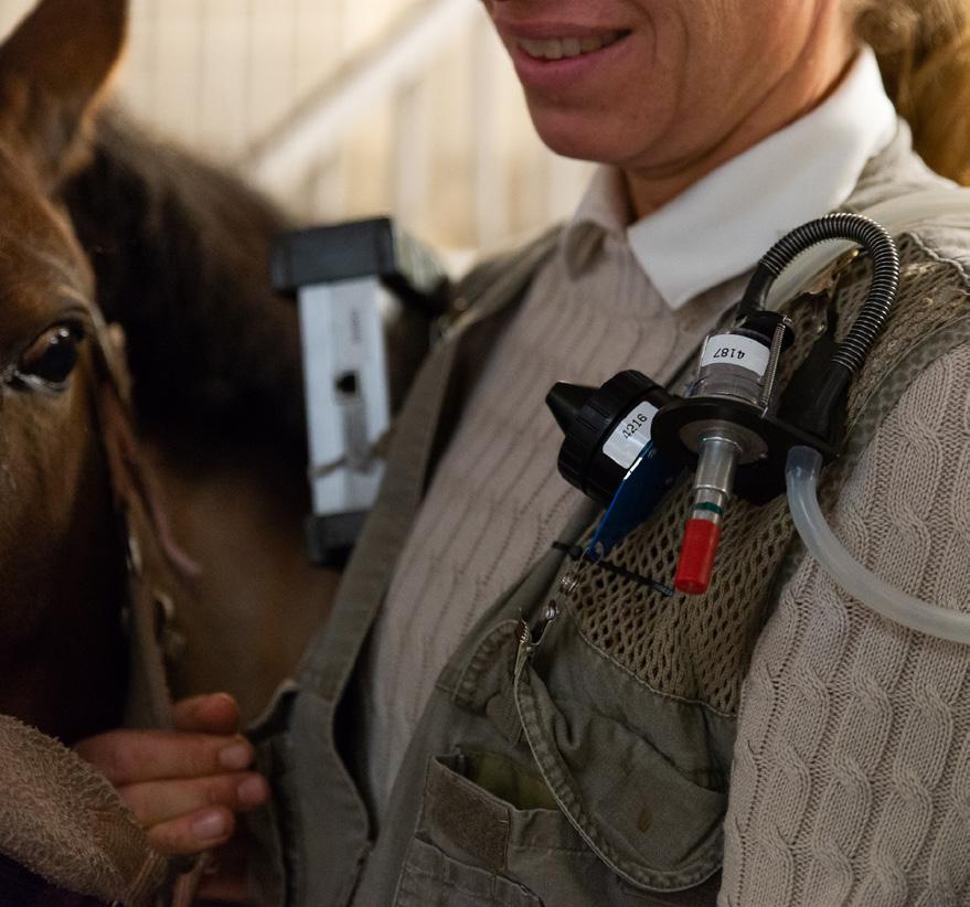 Mätning på ridinstruktör Halterna av inhalerbart damm samt respirabelt damm och kvarts mättes med pumpad provtagning vid två mätomgångar, i oktober 2018 för 3 arbetstagare.