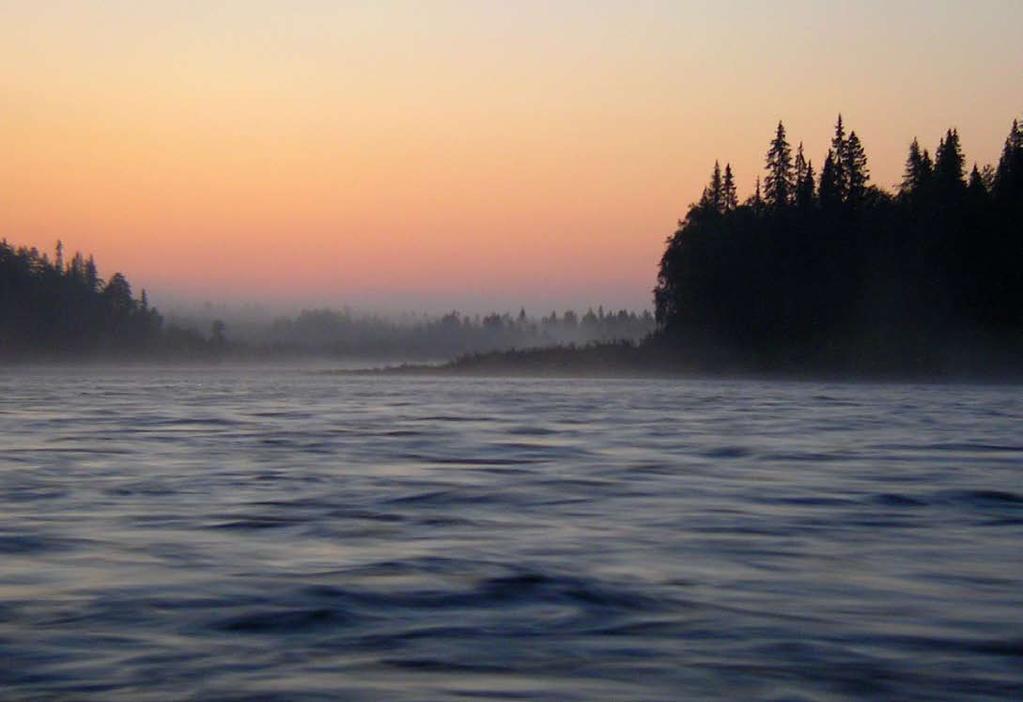 der åren jag for runt med flugspö och letade vatten i Jämtland sa mina fiskekamrater alltid unisont, börja inte med laxfiske. Jag trodde naturligtvis inte på deras uppmaningar.