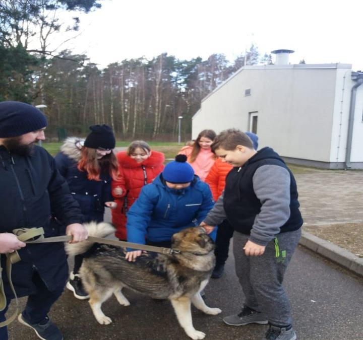 Adopterade av nya familjer: 112 hundar och 158 katter. Avlivade djur (p g a hög ålder och svår sjukdom): 5 hundar och 14 katter.