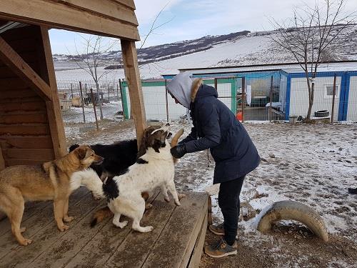 Under en vecka i februari kunde jag (Eva-Christine) tillsammans med några medlemmar i Hundprojekt konstatera att Emma har gjort ett fantastiskt