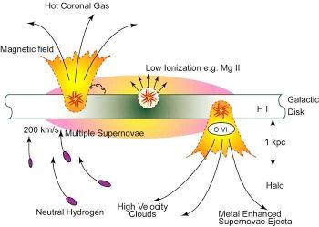 THE MANY PHASES OF THE INTERSTELLAR MEDIUM Component Fractional volume Scale Height (pc) Temperature Density State of Hydrogen Observational Technique Molecular Clouds Cold Neutral (CNM) Neutral