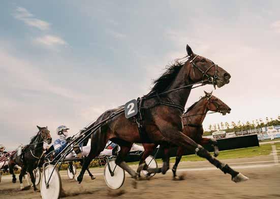 SPELUPPLEVELSER SEDAN SE AB TRAV OCH