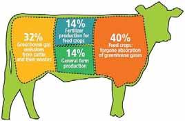huge reductions in meat-eating are essential to avoid dangerous climate change, Food production already causes great damage to the environment, via greenhouse gases