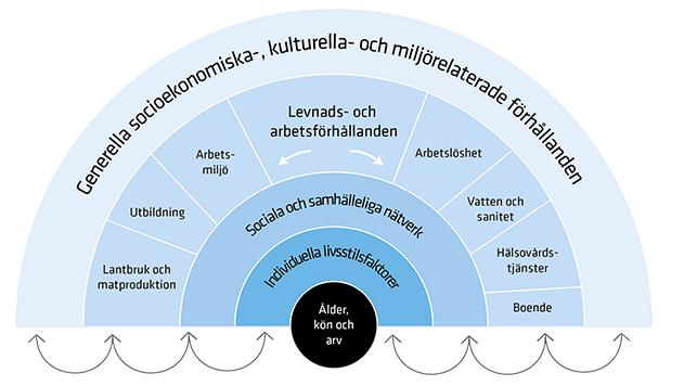 och bidrar till god hälsa medan riskfaktorerna utsätter individens hälsa (Dahlgren & Whitehead, 1991).