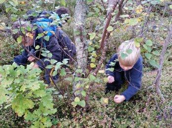 närområdet Skapande verksamhet Bygg och