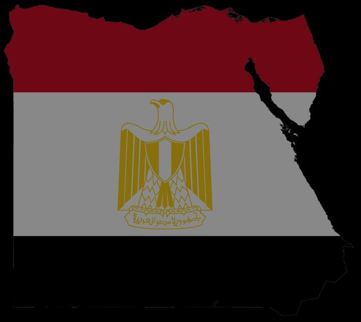 EGIPTO EL CAIRO EAGLE ASSISTANCE HOUSECALLS N/A THE CLINIC PRIVATE CLINIC