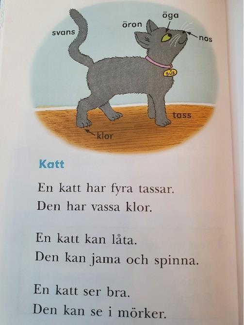 Figur 2 Visar en katt med dess olika kroppsdelar (s.22) 6.1.2 Arbetsuppgifter Ordförråd Till varje text finns en till två frågor och ibland en rituppgift.