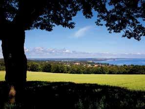 Smögen - livet på en räkmacka Under sommaren är Smögen ett av Sveriges populäraste turistmål, vilket måhända inte är så konstigt.