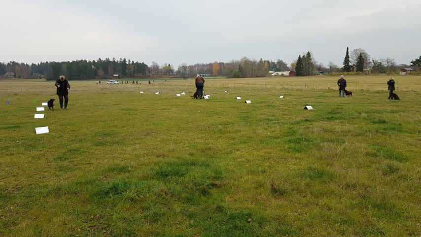 vallanlagstest och ett gäng tog en lekpromenad