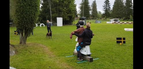 Lydnadsmomenten i klass 1 är fritt följ, förarens frånvaro 1 minut med störning, framåtsändande ca 20 meter, fjärrdirigering, matvägran och apportering.