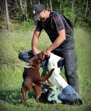 Vi tränar tillsammans med andra för att få störning och försöker överraska varandra vissa träningspass med teman där man inte har en aning om hur det kommer att se ut.