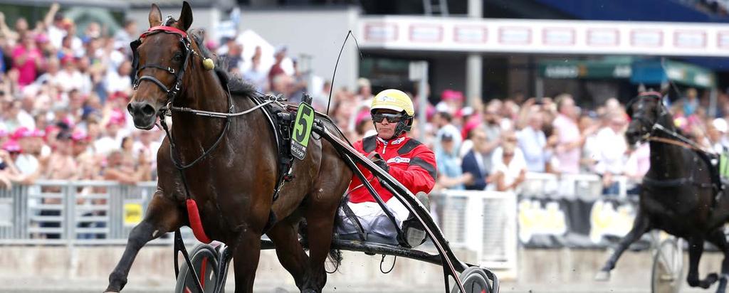 BOLD EAGLE OCH FRANCK NIVARD FLÖG LÅGT I ELITLOPPSFÖRSÖKET 2017 NÄR HAN VANN PÅ 1.08,4 SNABBAST PÅ SOLVALLA GENOM TIDERNA.