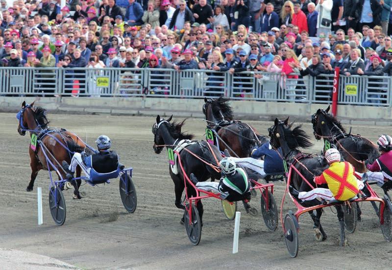 Elitloppets vinstrikaste häst, Timoko, på väg mot försökssegern 2016 med Björn Goop i sulkyn. DELTAGANDE HÄSTAR forts. Direktiv 60, 61, 63 Etain Royal 01 Disco Volante 19, 20 Evann C.