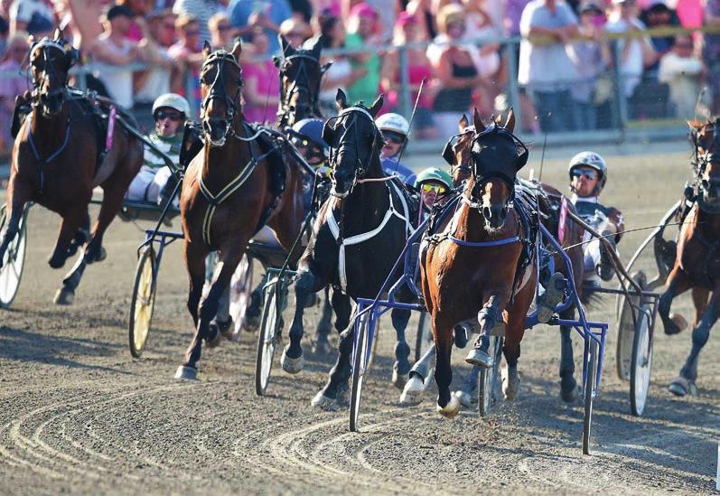 Timoko vinner sitt första Elitlopp 2014 före Panne de Moteur. DELTAGANDE HÄSTAR 