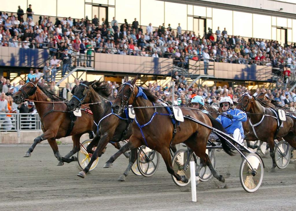 EUROPEAN CHAMPIONSHIP FOR MARES År Vinnare Körsven Tränare Ägare Tid/distans Odds Förstapris 2011 K.L.M.Prelong Åke Svanstedt Åke Svanstedt Arvid Kvalen, Norge 1.12,6a/2140 9,66 750.