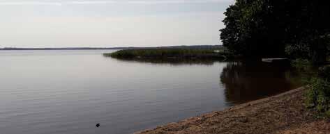 rönne å avrinningsområde RINGSJÖN Allmän beskrivning Ringsjön, bestående av västra Ringsjön, Östra Ringsjön och Sätoftasjön är Skånes näst största sjö.
