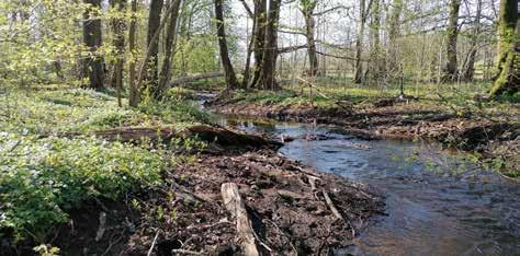 naturvärden NATURVÄRDEN I RÖNNE Å AVRINNINGSOMRÅDE Rönne å avrinningsområde hyser, trots bitvis kraftig påverkan, fortfarande höga naturvärden på vissa håll i avrinningsområdet, men som helhet är