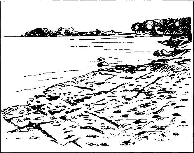 43 Se även: Flagabro, Gislövshammar Nyckelord: fosforit, konkretion, hårdbotten Bergström, Jan & Ah/berg, Per, 1981: Uppermost Lower Cambrian biostratigraphy in Scania, Sweden Geologiska Föreningens