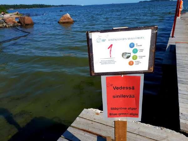 DET FINNS FÖR MYCKET NÄRINGSÄMNEN I HAVET - Det människan gör påverkar Östersjön.