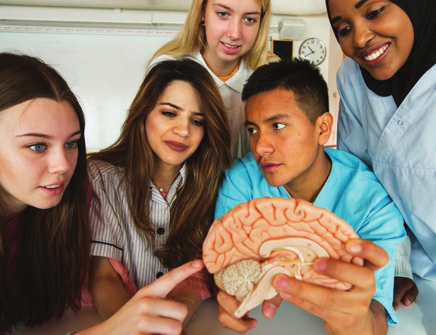 Plugga eller jobba efter gymnasiet Foto: Kari Kovakka Efter studenten på Arlandagymnasiets vård- och omsorgsprogram står många dörrar öppna, både vad gäller jobb och utbildning.