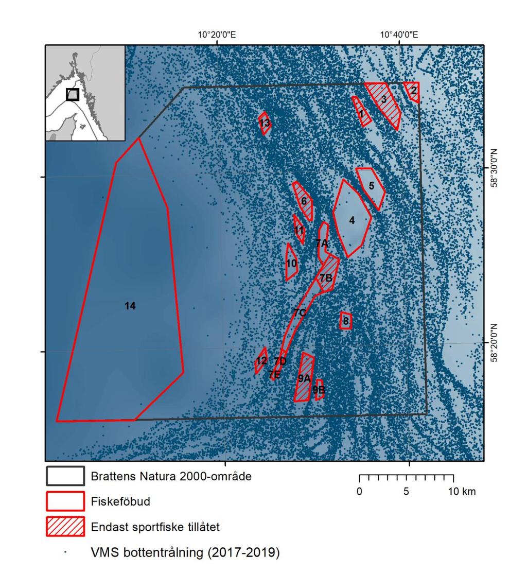 Figur 12. Avgränsning av Brattens Natura-2000 område och fiskeförbudszoner. Bottentrålningen illustreras med positionsdata för svenska bottentrålare 12 m som uppdateras varje timma.
