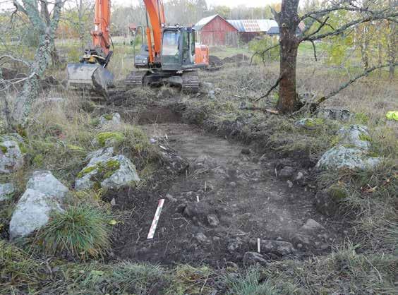 Figur 9. Stolphål och lerlager på terrassen i schakt 5899. Foto fr SV.