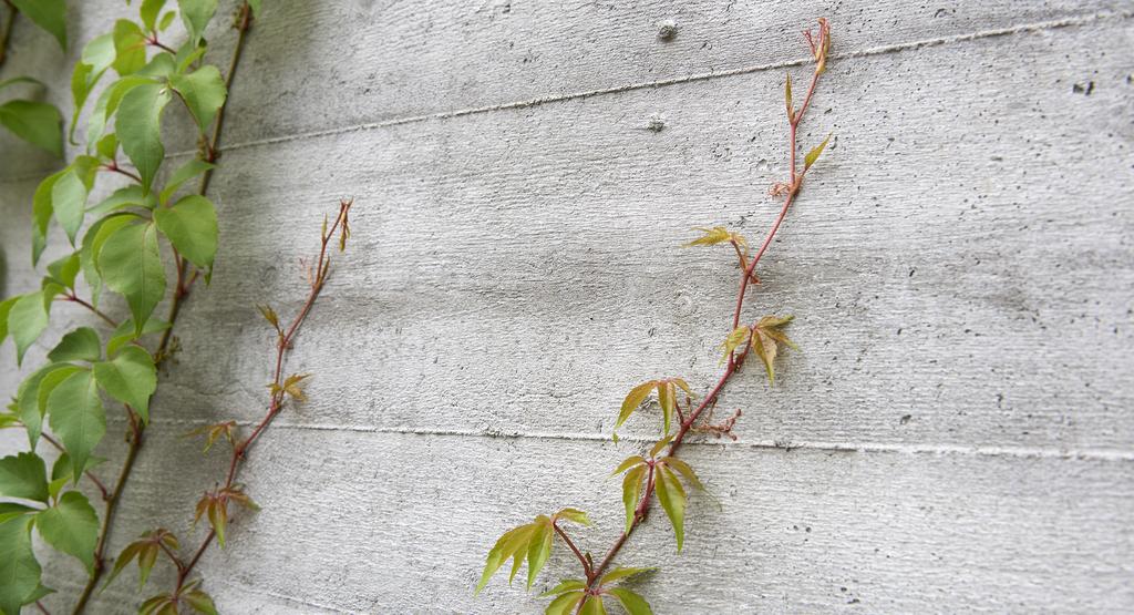 De klimatrelaterade aspekterna, tillsammans med nya forskningsresultat och erfarenheter, utgör idag huvudsakliga incitament för ändring av regelverket på beständighetsområdet.