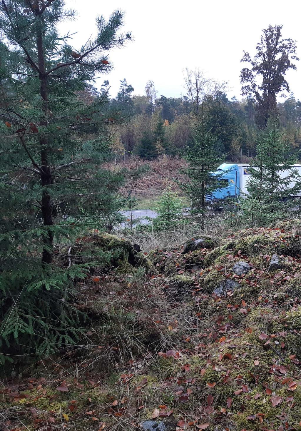 Väg 25 Arkeologisk utredning steg