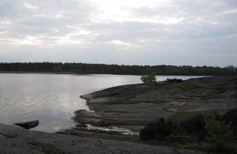 LINNÉUNIVERSITETET Färskesjöns ekologi En oligotrof sjö med eutrofa