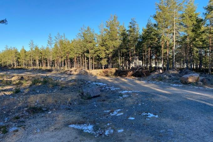 Ovanför Horns Strandväg ska par- och radhus byggas. Foto: Caroline Petersson Under många år stod försäljningen av tomter ganska stilla.