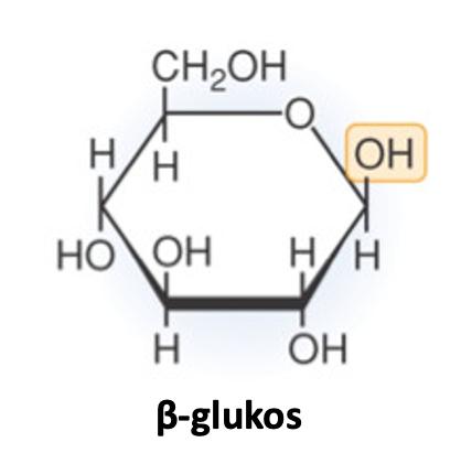 Uppbyggda av ett stort antal monosackarider (glukosmolekyler). Exempel: Glukos, fruktos och galaktos. Maltos, sackaros, laktos och cellobios. Amylos, amylopektin, cellulosa och glykogen. 13.