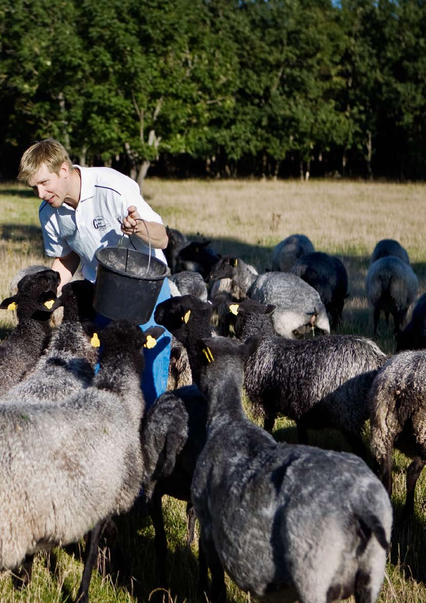 Biogas på gården är beställt av LRF i samverkan med Gasföreningen och Svenska Biogasföreningen och producerat av Lars-Erik Jansson, LRF Konsult i Halmstad.