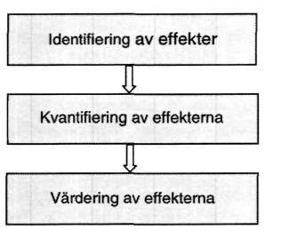 Kapitel 4 Annan ersättning och beräkning av totalskadan enligt IAN-modellen måste man emellertid ta hänsyn till de speciella omständigheterna i den här aktuella värderingssituationen.