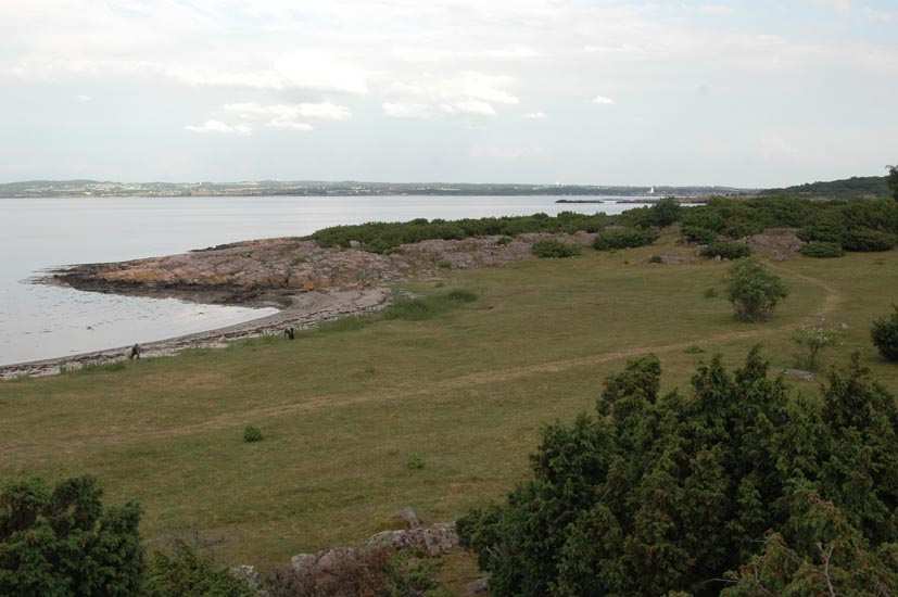 I söder avgränsas Oed också av Galgberget, numera dolt under träd och buskar men förr en skarp gräns. Grinden med svängkors mellan Söndre skog och Oed på 1930-talet. Foto Ingrid Wargren.