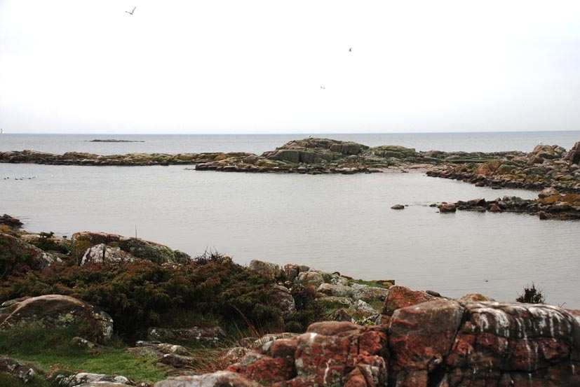 Det ligger mellan Vingaskär och Glimmingebåden. ORBJÄR, namnet står för stenberg, är ett område mellan Fyrplatsen och Pärlhamn.