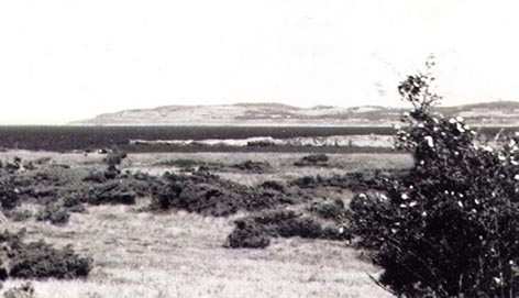 Högre upp lyser det gult av strand- och rosettorangelavar. Diabasen fortsätter som "Stora diabasgången" tvärs över ön.