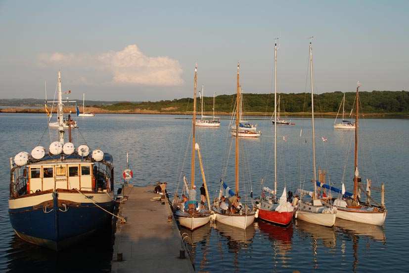 SVARTESKÄR ligger en knapp kilometer nordväst om Orskär och utgör västlig gräns för sälskyddsområdet. På 1930-talet vistades en vilsekommen valross på skäret.