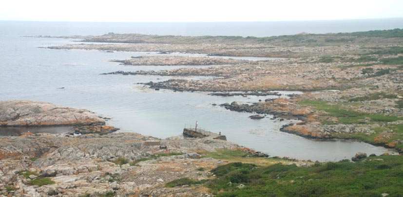 VRENEN.