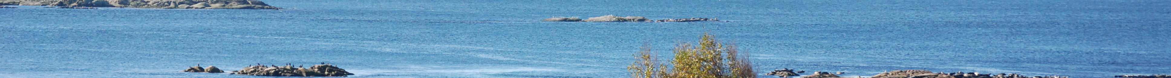 Stigen från Kappelhamn till Sandhamn går genom en öppning