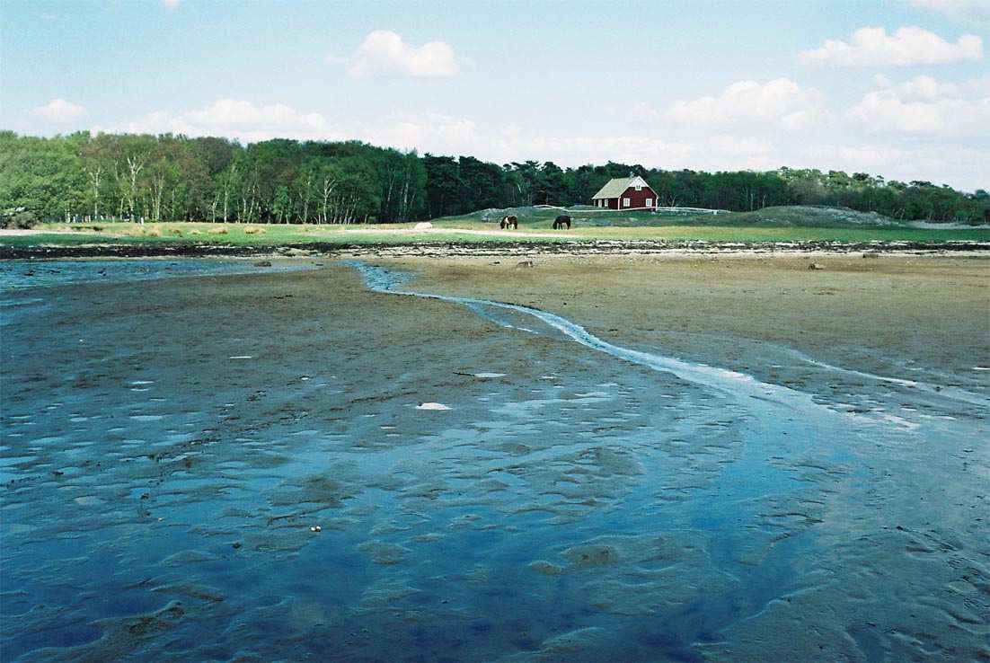 I öster växer vacker blandskog med ek, bok, lind, hassel och ene. Genom detta område anlades 2009 en kulturslinga förbi "Badkarslinden".