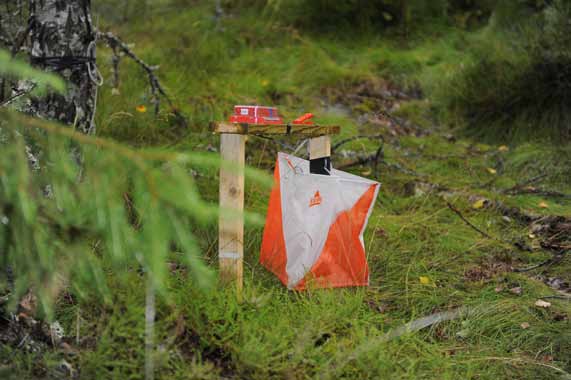 Allemansrätten Den svenska naturen är öppen för oss alla, men det gäller att vara varsam och att visa hänsyn. Grundregeln är att inte störa eller förstöra.