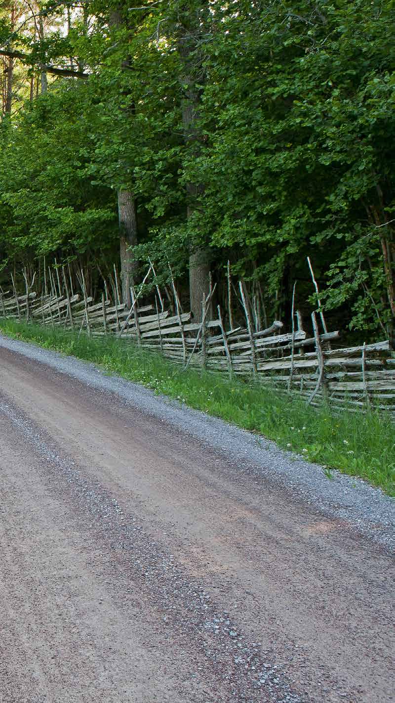 Innehåll 4 Lokalt ledarskap 6 Byanät en översikt 10 Byanätsprocessen 13