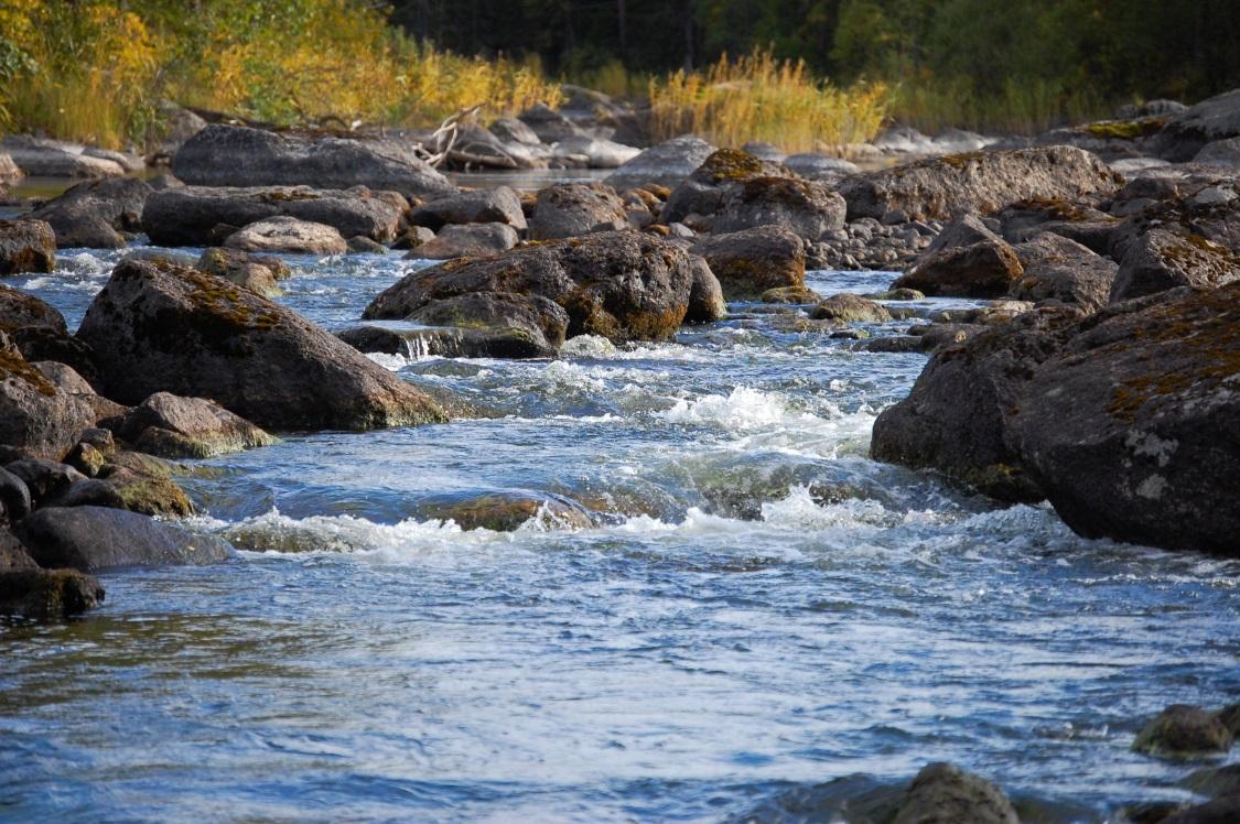 Vattenkraftens inverkan på den akvatiska miljön Nyttjandet av vattenkraft för elproduktion medför direkta och indirekta effekter på miljön i de vattensystem som exploateras.