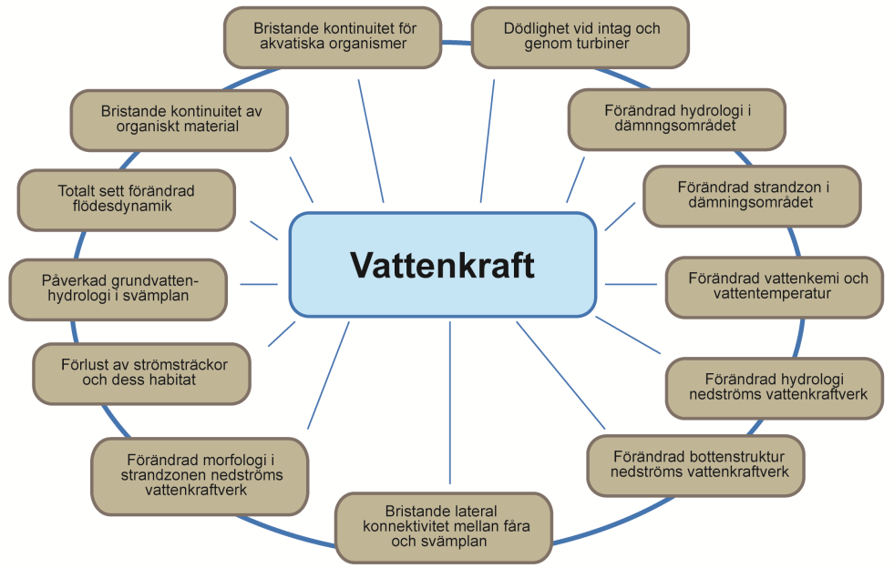 Figur 20. Sammanfattande beskrivning av vattenkraftens direkta effekter på vattenmiljön. Bilden hämtad från: CIS-report 2006.