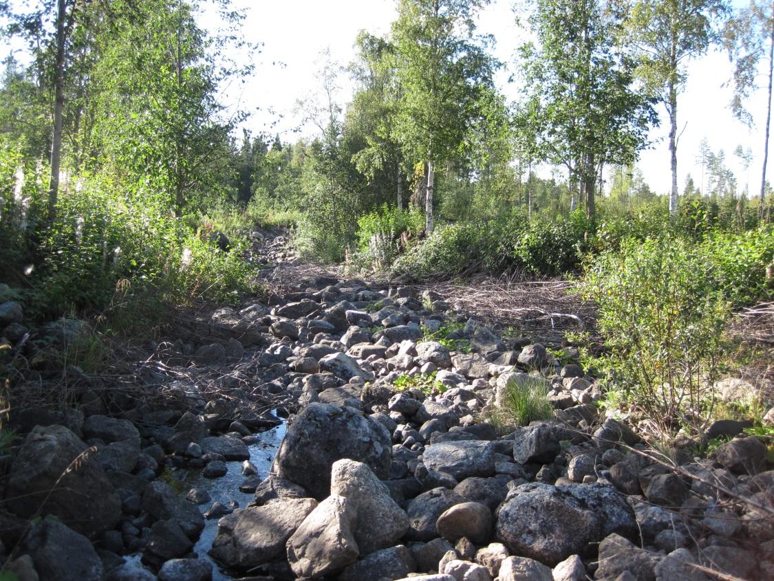 Figur 26. Även vid småskaliga kraftverk torrläggs vattendragssträckor. Här torrfåran nedströms Hunge kraftverk i Gimåns vattensystem. Foto: Ingemar Näslund.