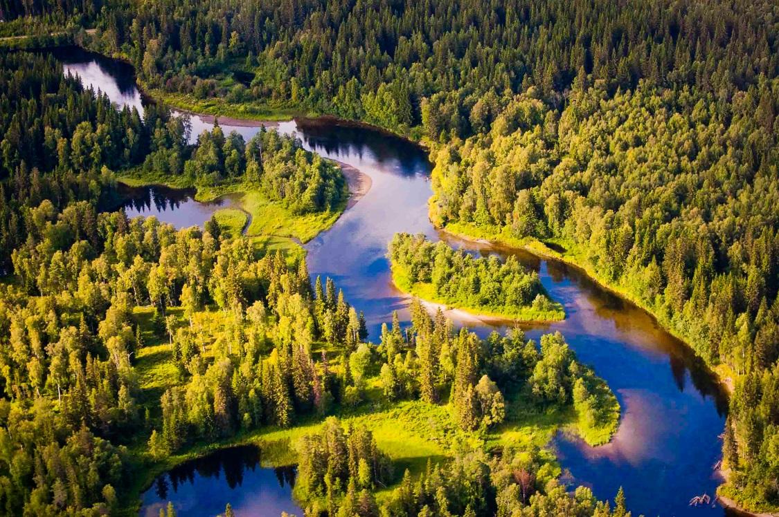Figur 32. Sedimentation i den oreglerade Dammån (Indalsälven). Foto: Ingemar Näslund.