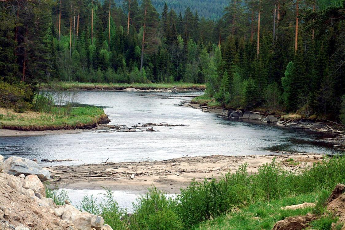 En konsekvens av att energin minskar i dämningsområdet är att vattendragets kompetens och kapacitet att bära sediment drastiskt reduceras (Graf 2006).