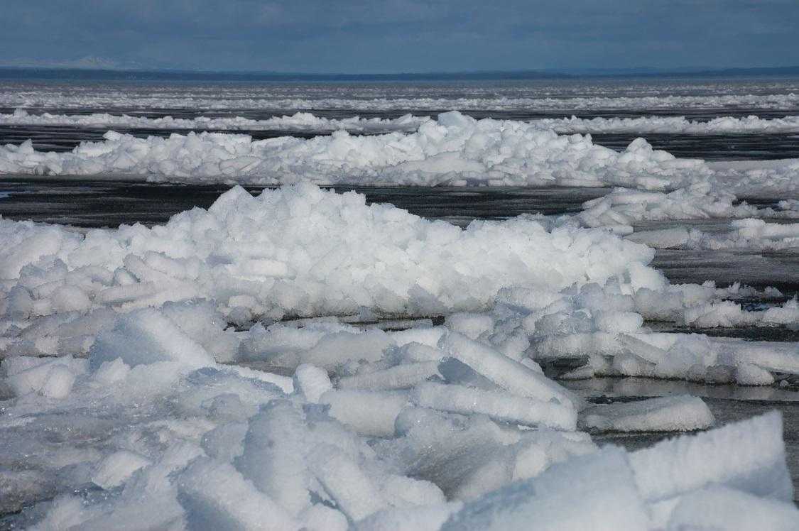 Vattentemperatur och isförhållanden I ett oreglerat vatten bestäms vattentemperaturen av grundläggande fysiska förhållanden; lufttemperatur, in- och utstrålning samt vind.